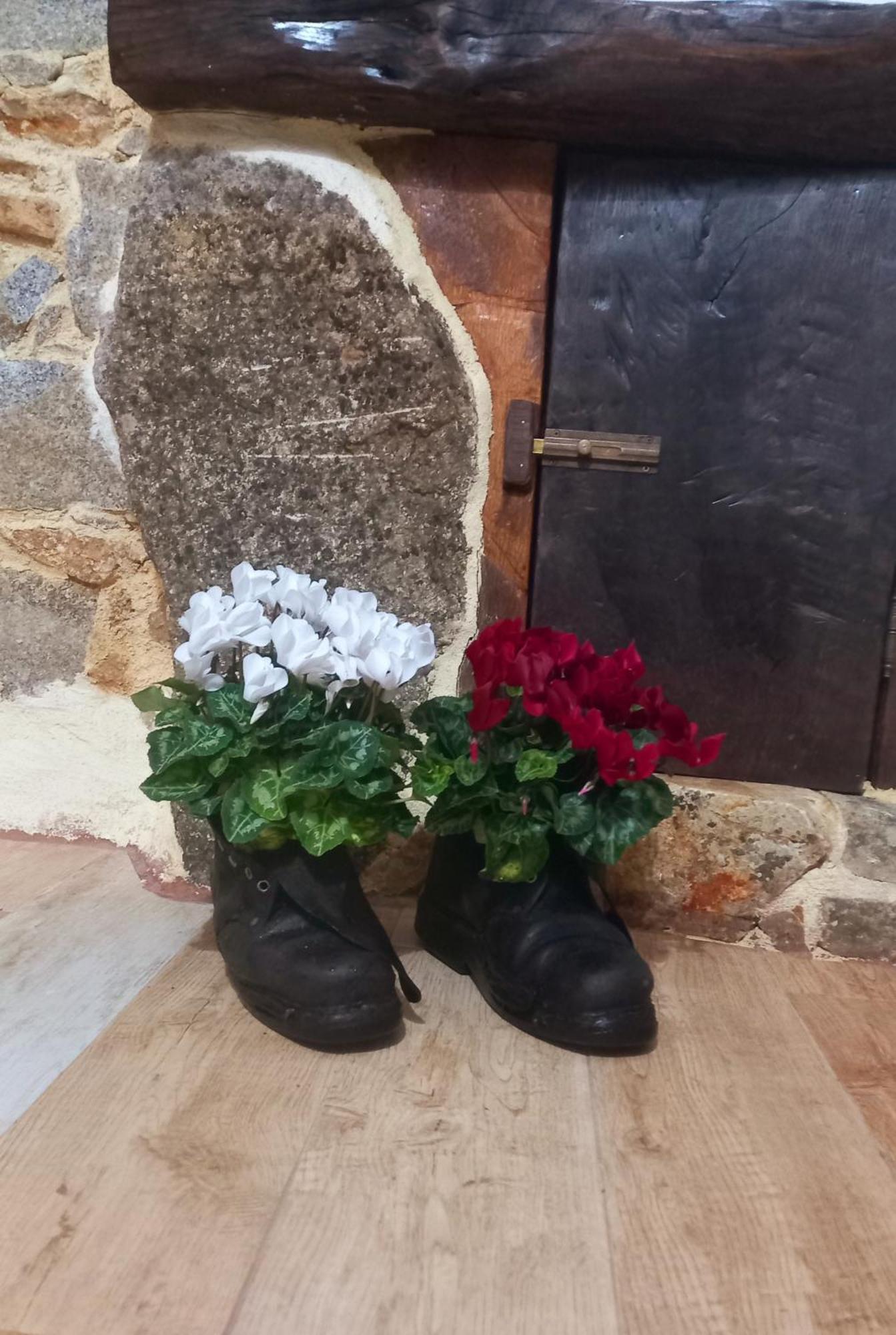 "B&B Santu Giuvanni" Fonni Bagian luar foto