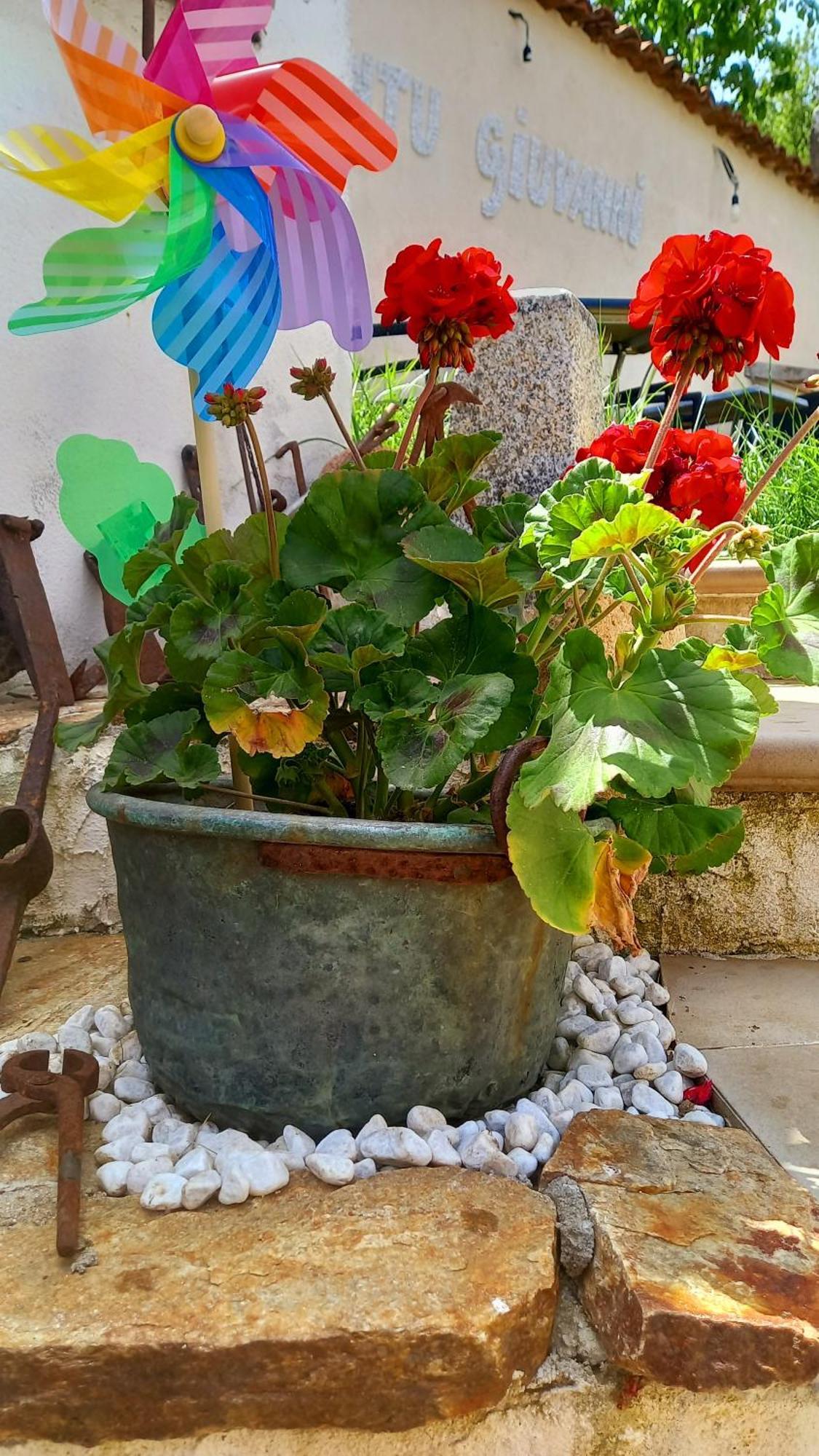"B&B Santu Giuvanni" Fonni Bagian luar foto